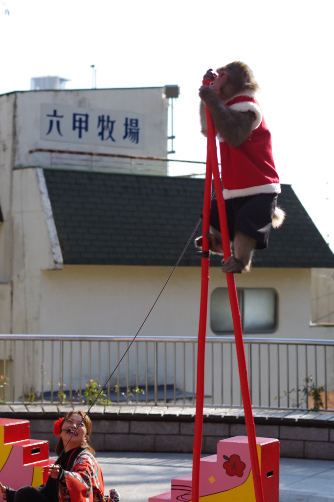 f:id:Kumacosmoto:20151222222901j:plain f:id:Kumacosmoto:20151222222901j:plain