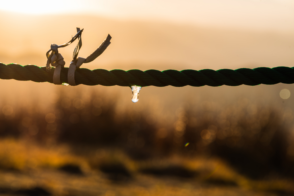 f:id:Kumamon:20151031001926j:plain f:id:Kumamon:20151031001926j:plain