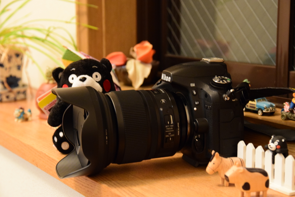 SIGMA 24-105mm f4 DG OS HSM Art の世界！！ - Kumamon's diary