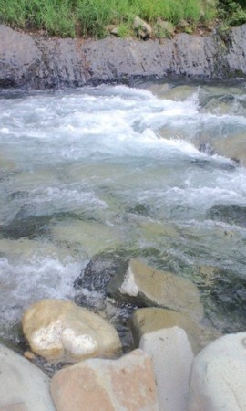 f:id:KyojiOhno:20120805190539j:image f:id:KyojiOhno:20120805190539j:image