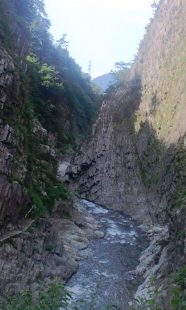 f:id:KyojiOhno:20120805190541j:image f:id:KyojiOhno:20120805190541j:image