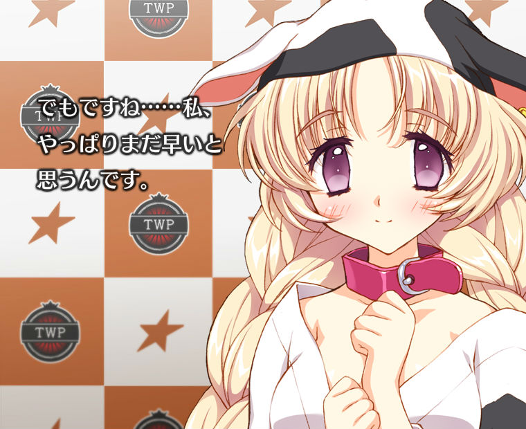 f:id:LITTLEWING:20150527182911j:plain