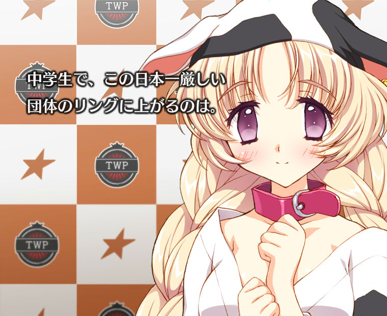 f:id:LITTLEWING:20150527182918j:plain