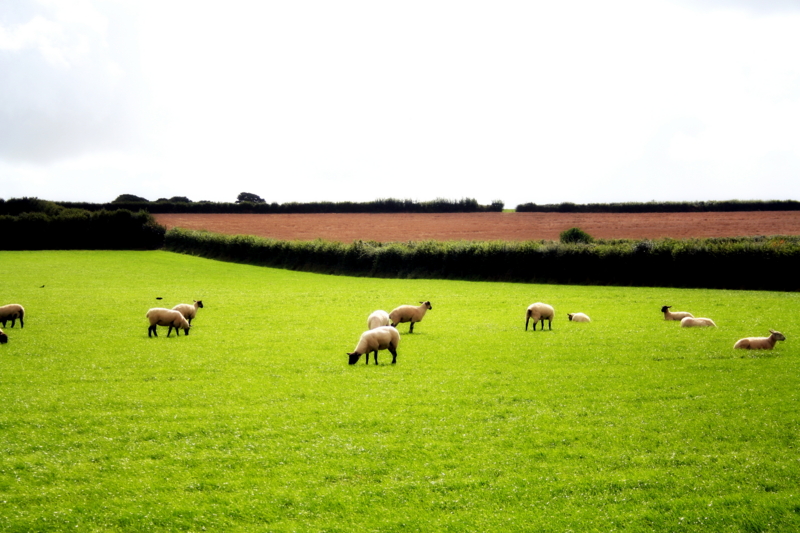 f:id:LMIURA:20100825000801j:plain