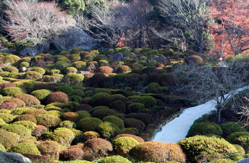 f:id:LMIURA:20131208101916j:plain f:id:LMIURA:20131208101916j:plain