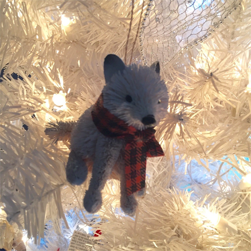 f:id:Lacy:20151206094252j:image f:id:Lacy:20151206094252j:image