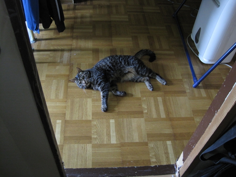 f:id:Lag_TY:20110606134728j:plain