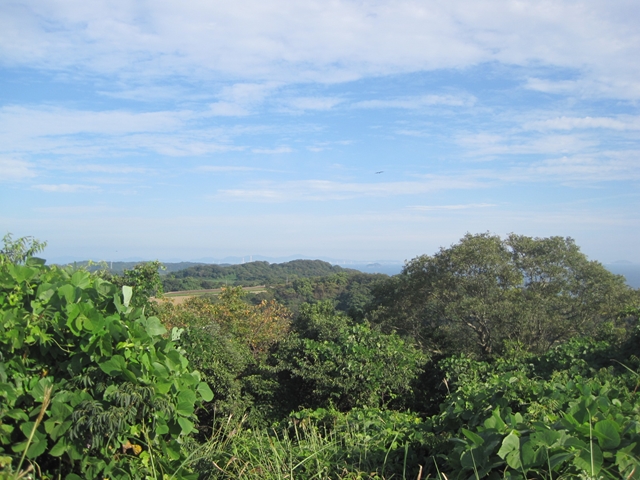 f:id:Lag_TY:20140921205605j:plain