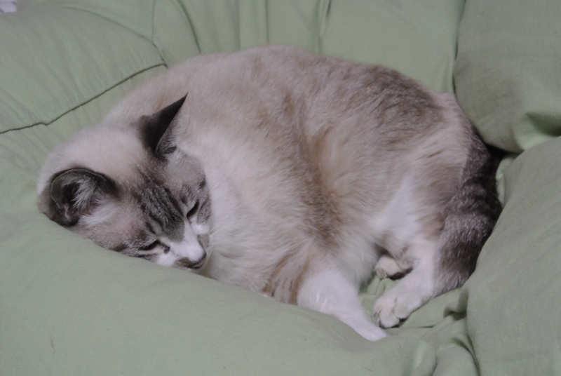 f:id:Lag_TY:20150203233422j:plain