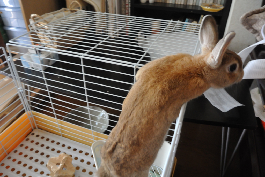 f:id:Lag_TY:20150830152823j:plain f:id:Lag_TY:20150830152823j:plain