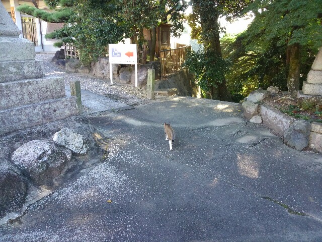 f:id:Lag_TY:20150907073835j:plain f:id:Lag_TY:20150907073835j:plain