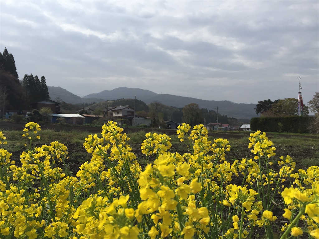 f:id:Life_Takayama:20160424211450j:image f:id:Life_Takayama:20160424211450j:image