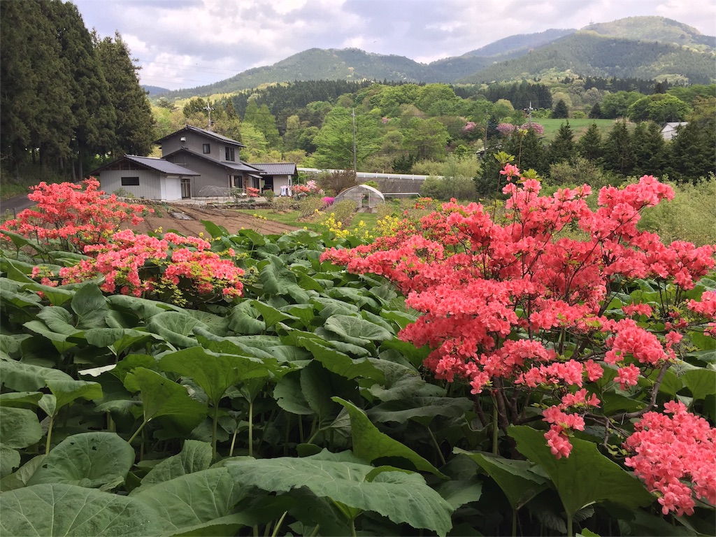 f:id:Life_Takayama:20160507160152j:image f:id:Life_Takayama:20160507160152j:image