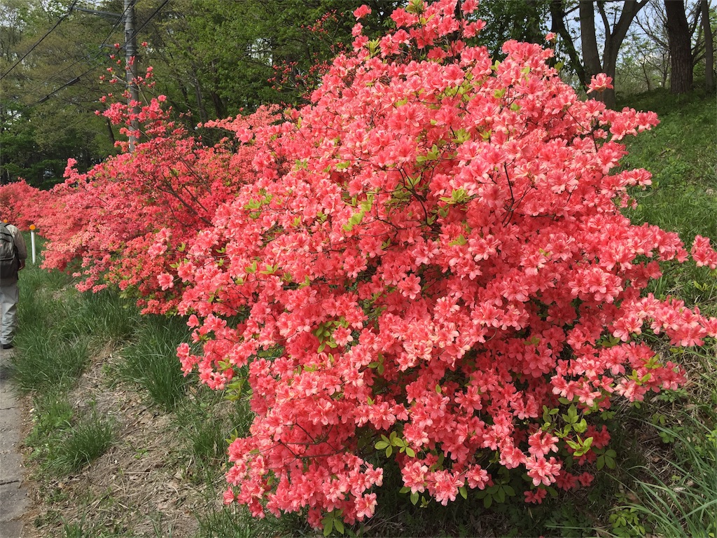 f:id:Life_Takayama:20160507160317j:image f:id:Life_Takayama:20160507160317j:image