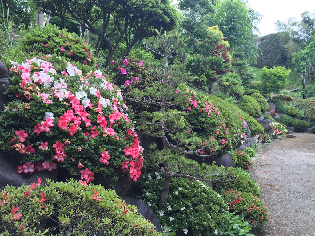 f:id:Life_Takayama:20160527232544j:image f:id:Life_Takayama:20160527232544j:image