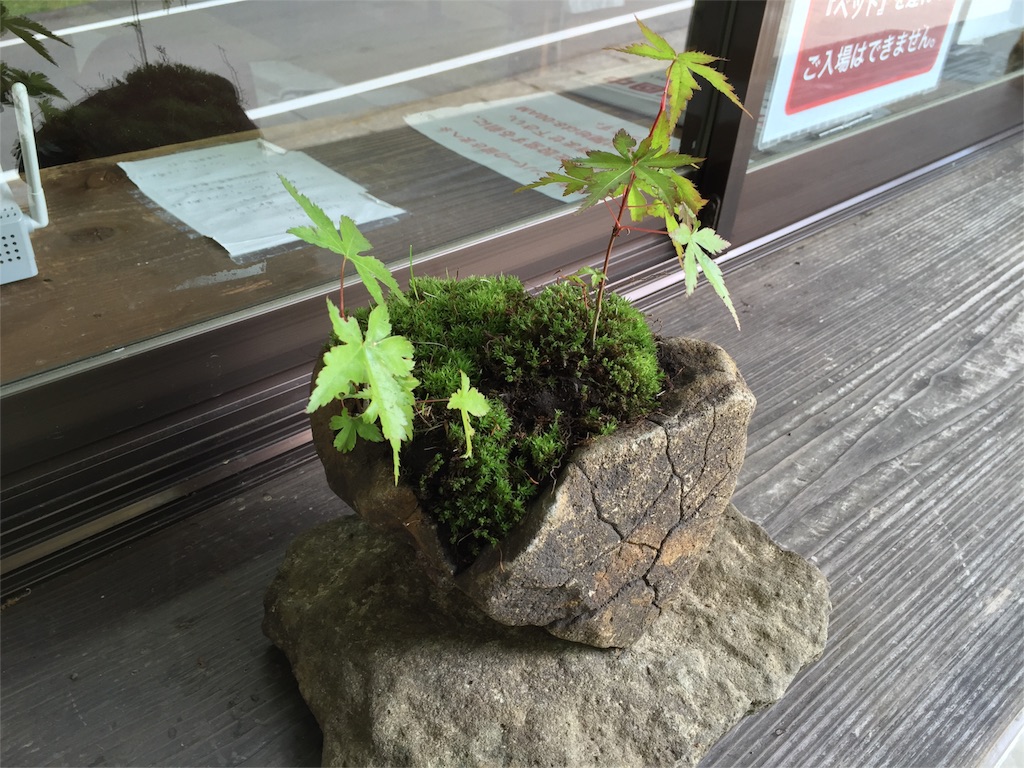 f:id:Life_Takayama:20160529064302j:image f:id:Life_Takayama:20160529064302j:image
