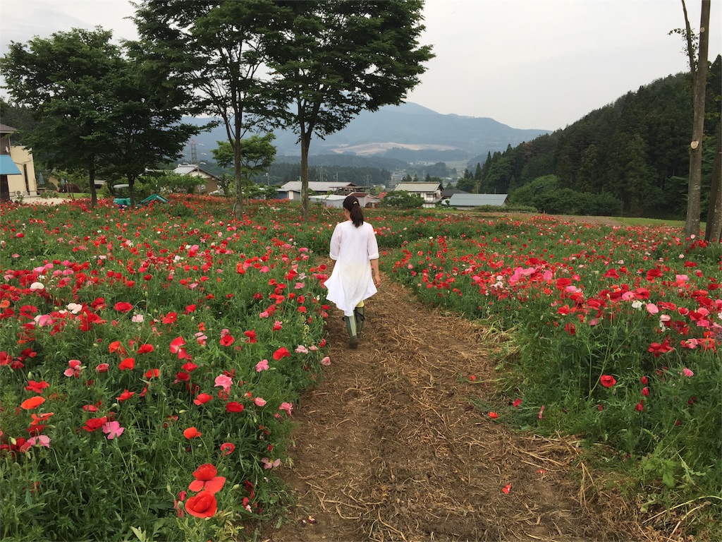 f:id:Life_Takayama:20160530145208j:image f:id:Life_Takayama:20160530145208j:image