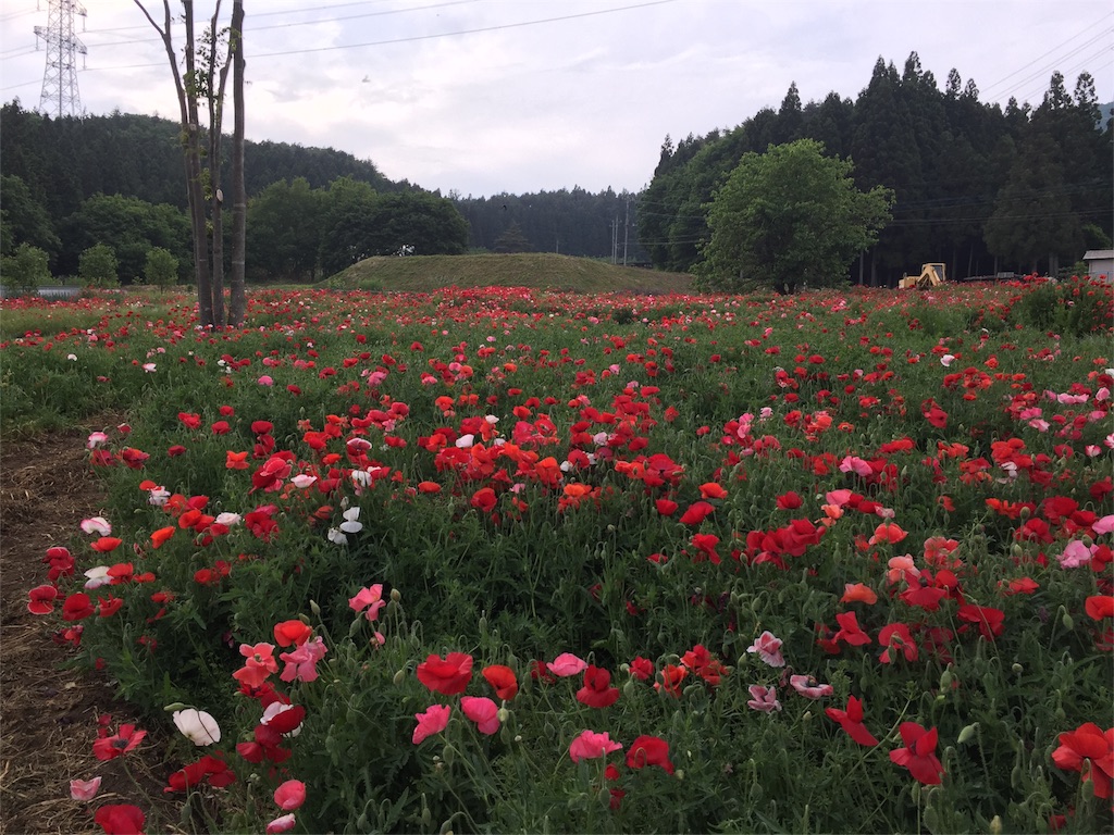 f:id:Life_Takayama:20160530165158j:image f:id:Life_Takayama:20160530165158j:image