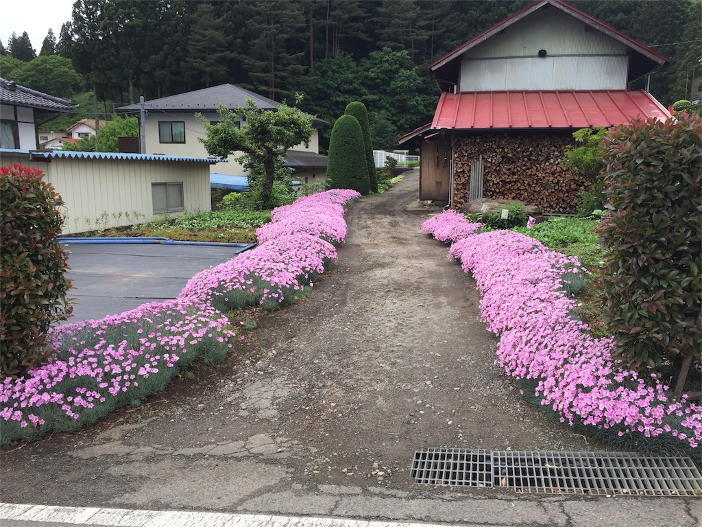 f:id:Life_Takayama:20160530194300j:image f:id:Life_Takayama:20160530194300j:image