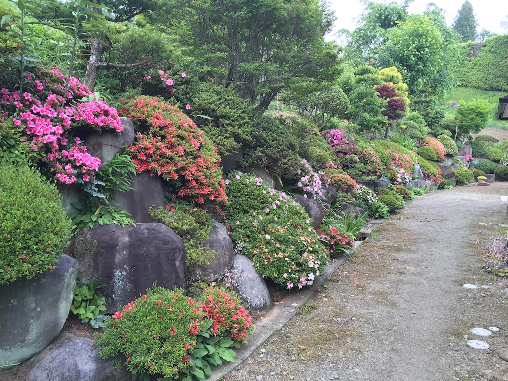 f:id:Life_Takayama:20160606210451j:image f:id:Life_Takayama:20160606210451j:image