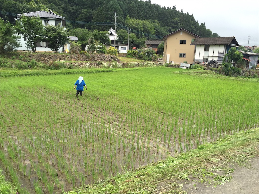 f:id:Life_Takayama:20160705232630j:image f:id:Life_Takayama:20160705232630j:image