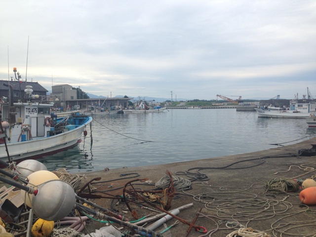 f:id:Lion_cage_blog:20140915070052j:plain f:id:Lion_cage_blog:20140915070052j:plain