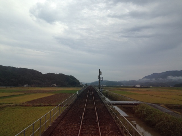 f:id:Lion_cage_blog:20141102122224j:plain f:id:Lion_cage_blog:20141102122224j:plain