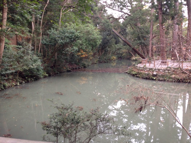 f:id:Lion_cage_blog:20141223144127j:plain f:id:Lion_cage_blog:20141223144127j:plain