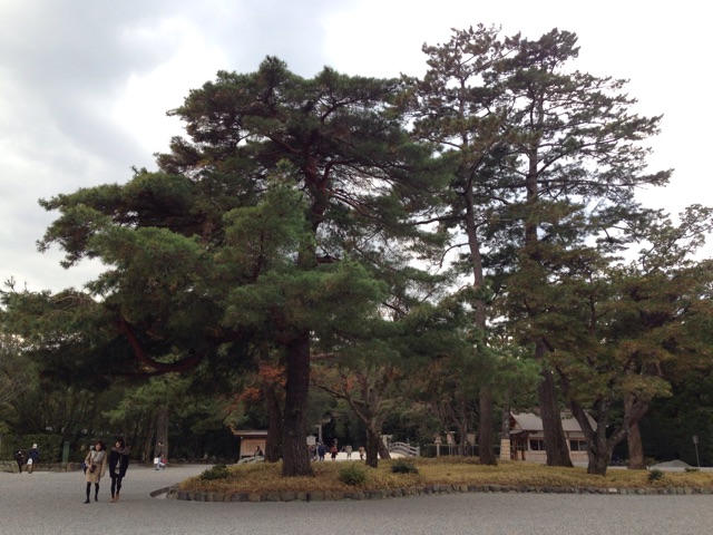 f:id:Lion_cage_blog:20141223144644j:plain f:id:Lion_cage_blog:20141223144644j:plain