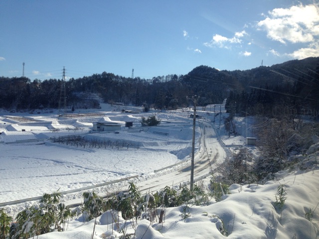 f:id:Lion_cage_blog:20150103125025j:plain f:id:Lion_cage_blog:20150103125025j:plain