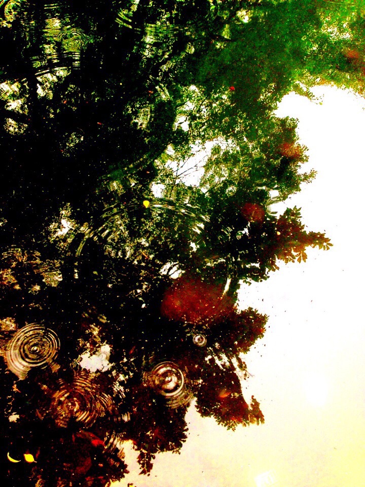 f:id:LobLoy:20150127190038j:plain f:id:LobLoy:20150127190038j:plain
