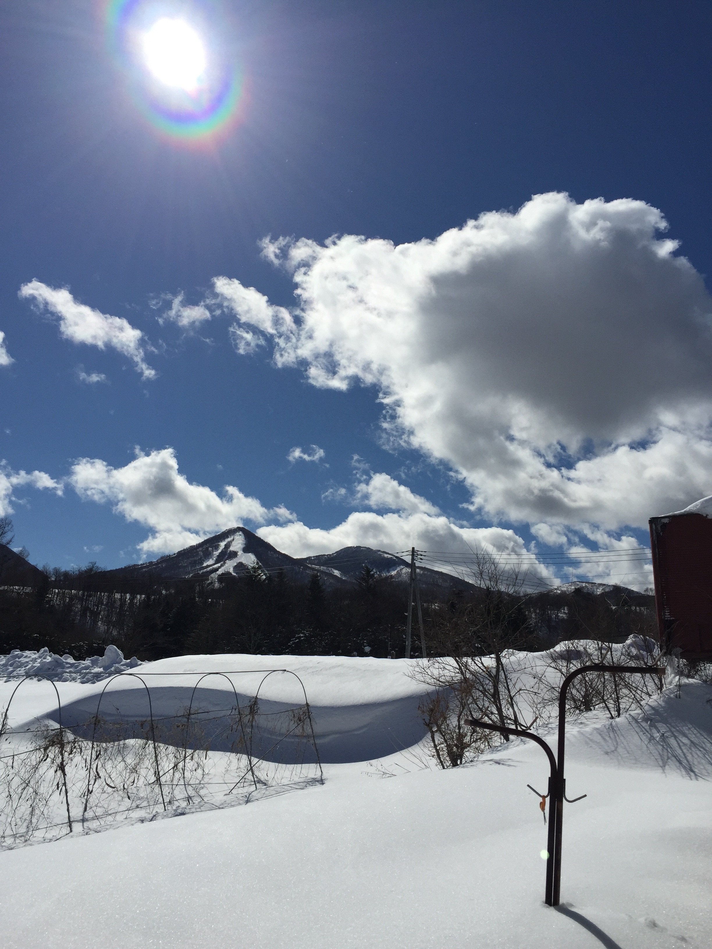 f:id:LobLoy:20150301003340j:plain f:id:LobLoy:20150301003340j:plain