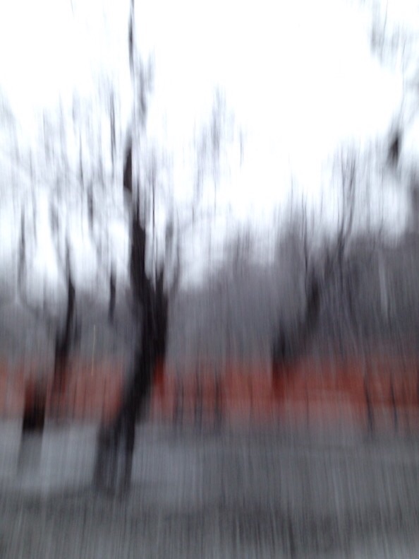 f:id:LobLoy:20150301003501j:plain f:id:LobLoy:20150301003501j:plain