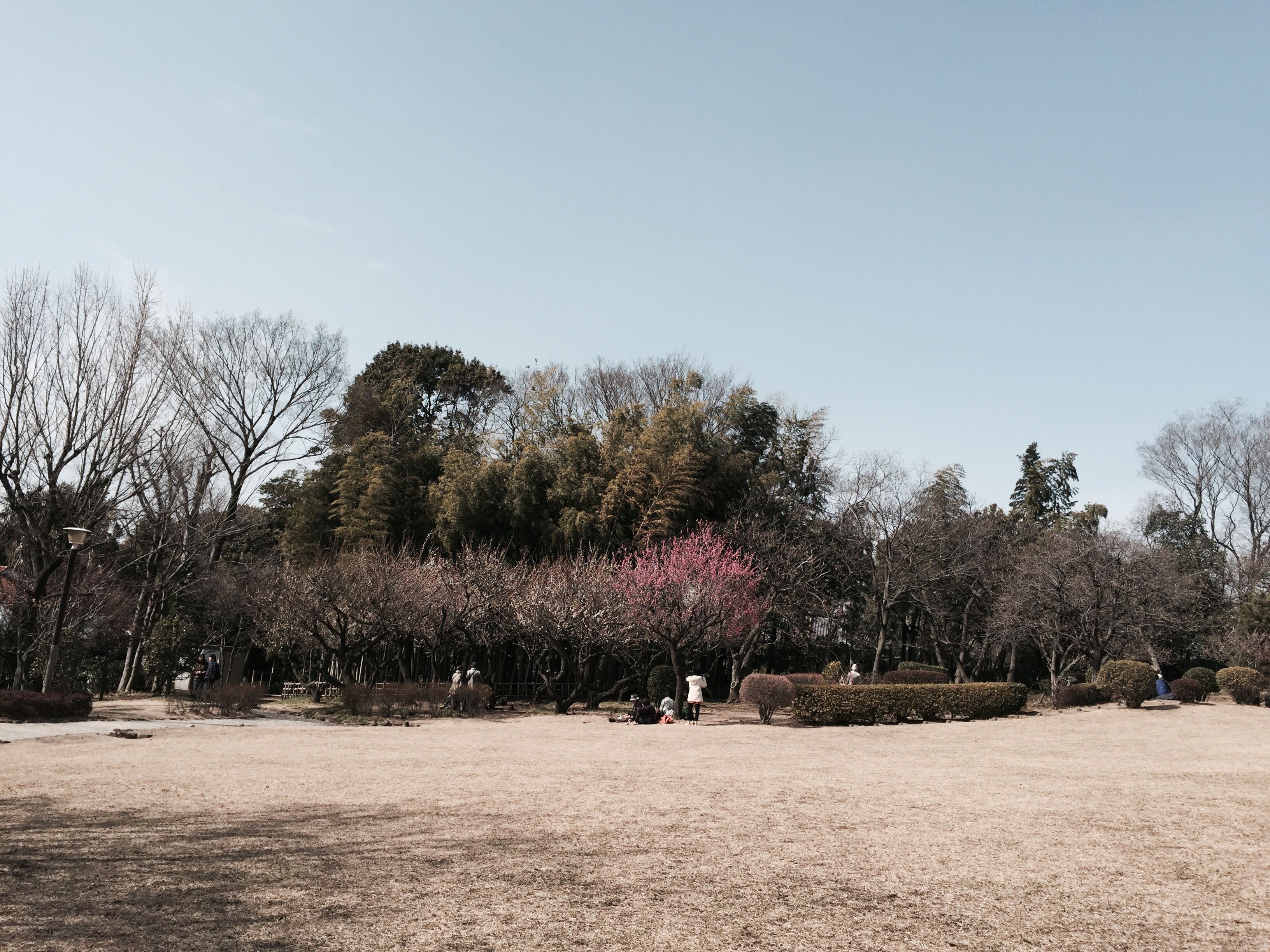 f:id:LobLoy:20150301003829j:plain f:id:LobLoy:20150301003829j:plain