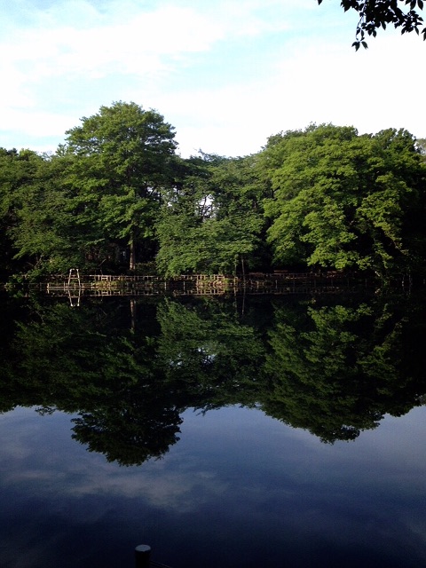 f:id:LobLoy:20150613181525j:image f:id:LobLoy:20150613181525j:image