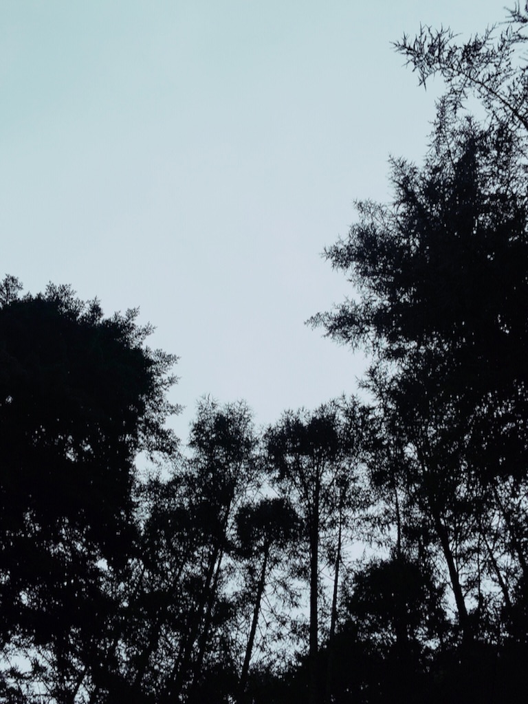 f:id:LobLoy:20150916222113j:image f:id:LobLoy:20150916222113j:image