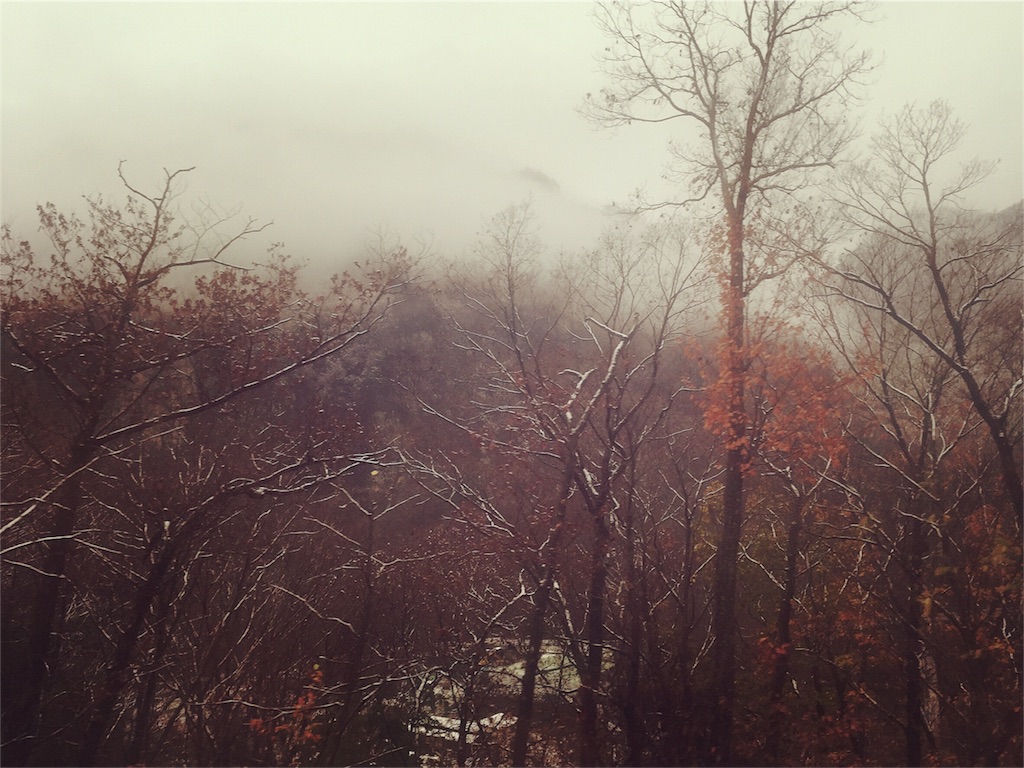 f:id:LobLoy:20151130191719j:image f:id:LobLoy:20151130191719j:image