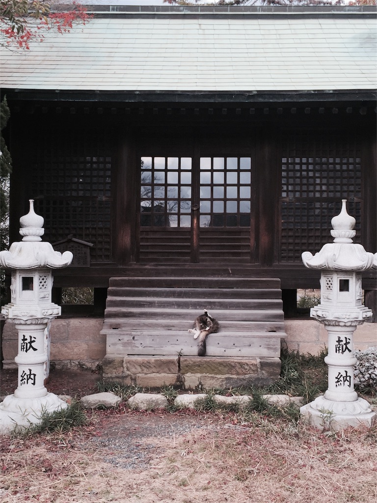 f:id:LobLoy:20151213231815j:image f:id:LobLoy:20151213231815j:image