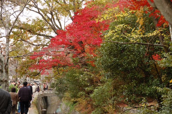f:id:Lunacat:20061125141847j:image:h225 f:id:Lunacat:20061125141847j:image:h225