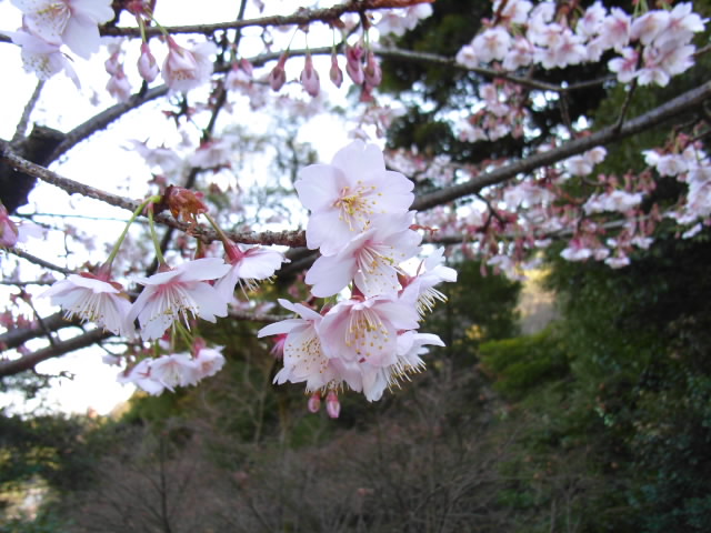 f:id:Lunacat:20070211141354j:image:w280 f:id:Lunacat:20070211141354j:image:w280