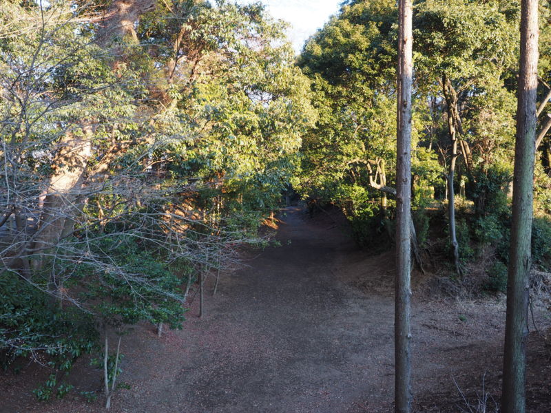 f:id:Lunacat:20131231152940j:plain:w280 f:id:Lunacat:20131231152940j:plain:w280