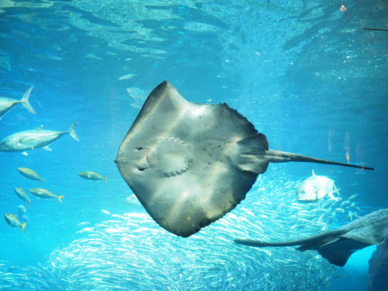 f:id:Lunacat:20140112144139j:plain:w280