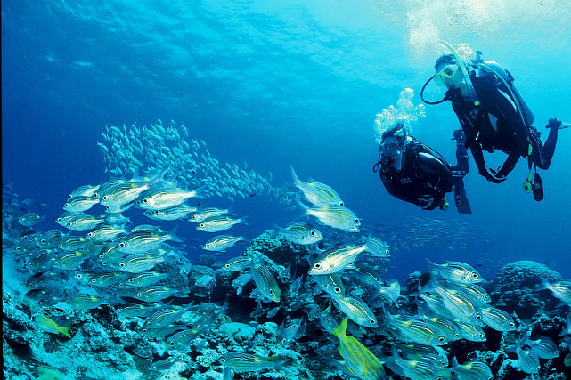 f:id:Lync:20150930202045j:plain f:id:Lync:20150930202045j:plain