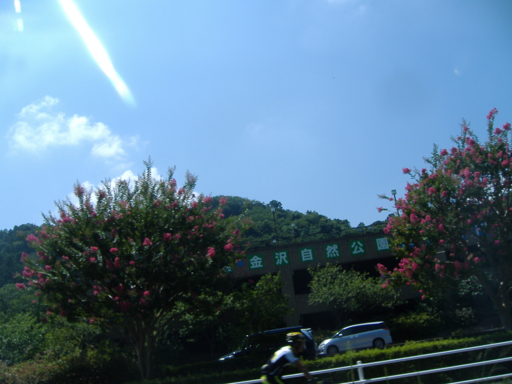 f:id:MAIKALFUJIO:20150809225325j:plain