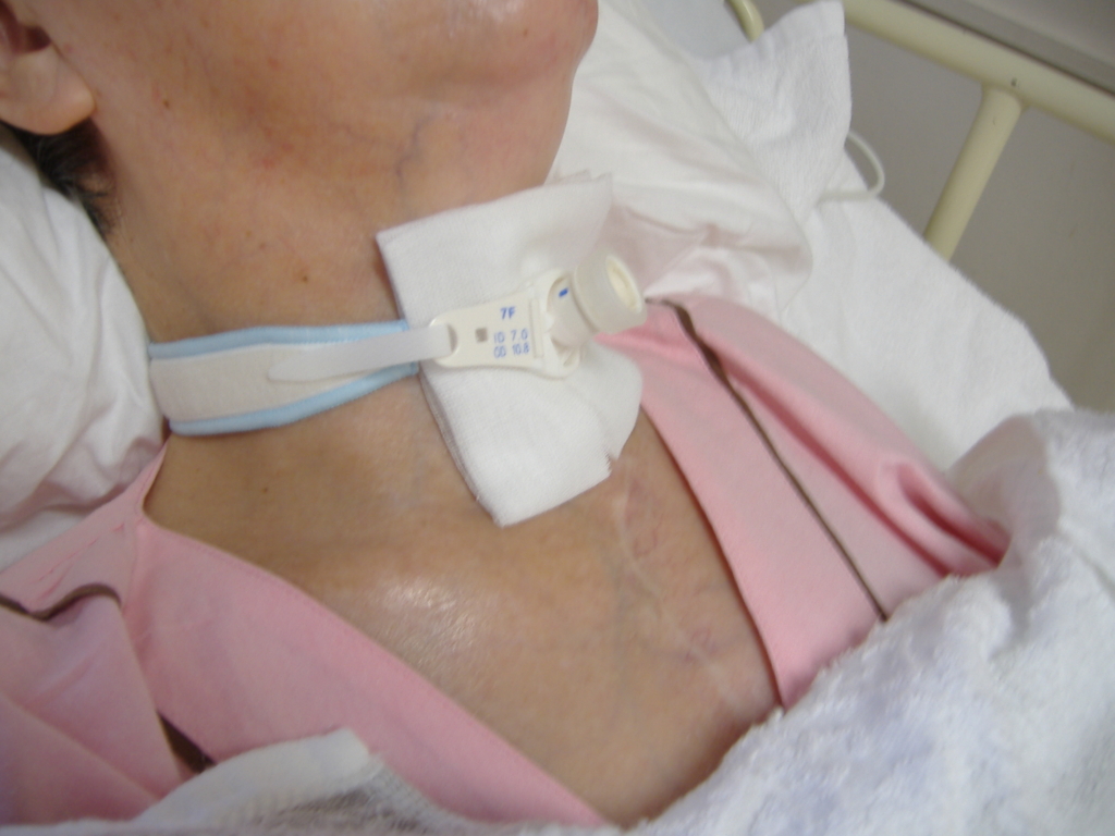 f:id:MAIKALFUJIO:20150828233427j:plain f:id:MAIKALFUJIO:20150828233427j:plain