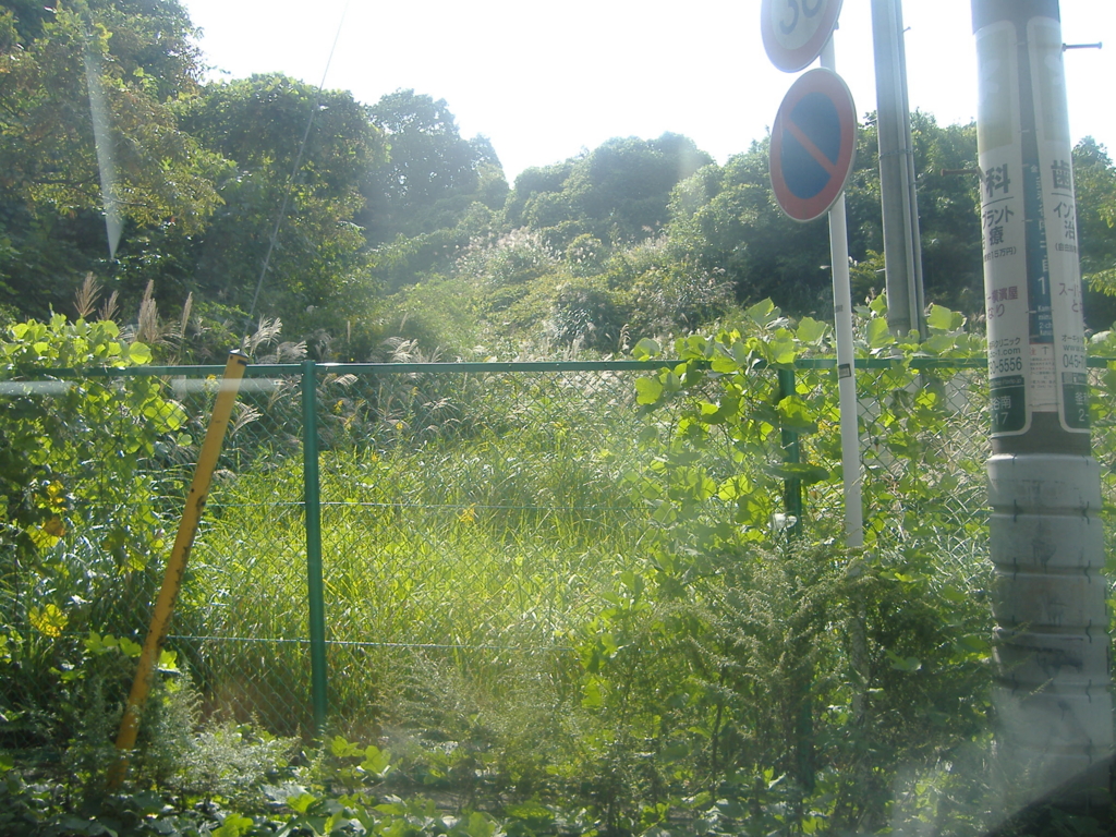 f:id:MAIKALFUJIO:20151015225618j:plain f:id:MAIKALFUJIO:20151015225618j:plain