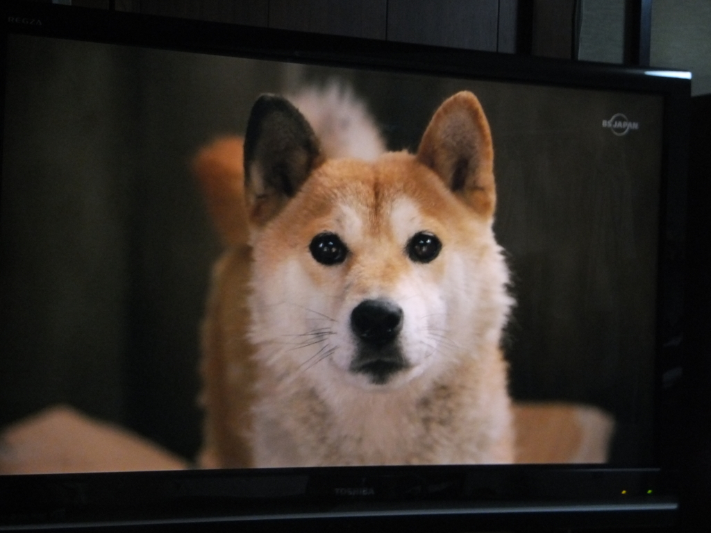 f:id:MAIKALFUJIO:20160719233332j:plain f:id:MAIKALFUJIO:20160719233332j:plain