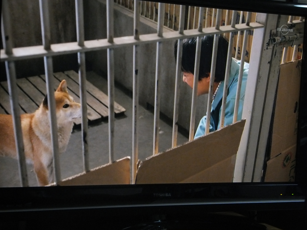 f:id:MAIKALFUJIO:20160719234008j:plain f:id:MAIKALFUJIO:20160719234008j:plain