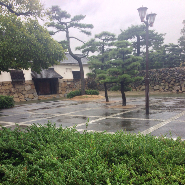 f:id:MATSU:20131028183247j:plain f:id:MATSU:20131028183247j:plain