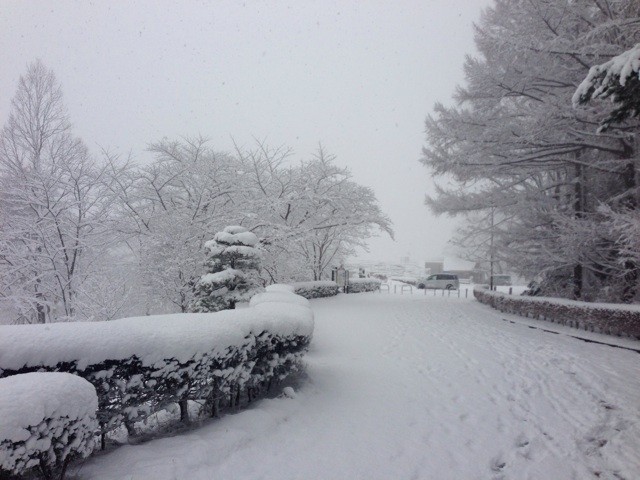 f:id:MATSU:20131214070423j:plain f:id:MATSU:20131214070423j:plain